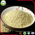 White Sesame Seeds for Oil